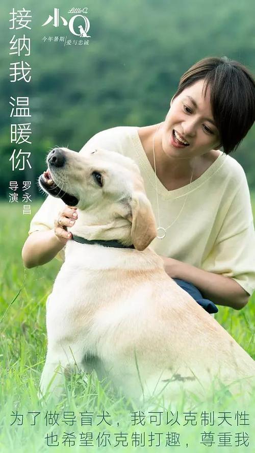 格罗宁根汉泽大学Economics Degree Certificate